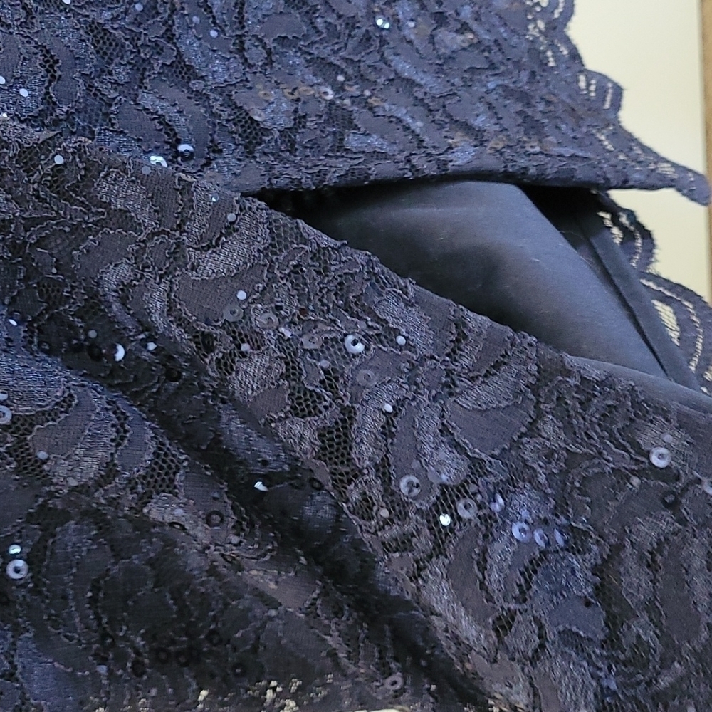 Alex Evenings Lace Sequence Evening Dress Size 12 - Picture 5 of 8